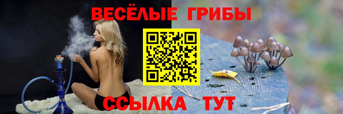 Галлюциногенные грибы Psilocybine cubensis Чайковский